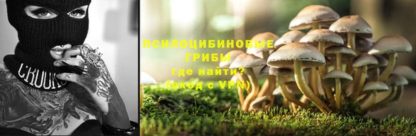 дмт Алексеевка