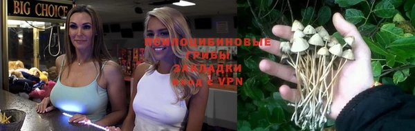 дмт Алексеевка