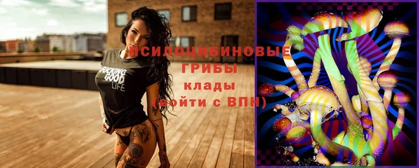 эйфоретик Алзамай