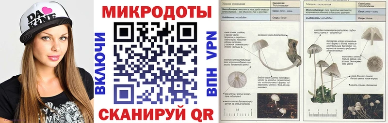 kraken   Белорецк  Псилоцибиновые грибы MAGIC MUSHROOMS 